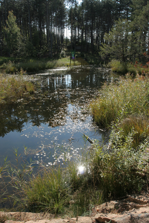 Lac di Montesel