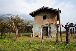 baito-per-gli-attrezzi-agricoli
