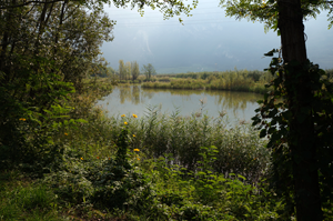 dsc09333