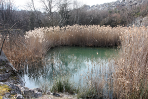 il-lago-solo